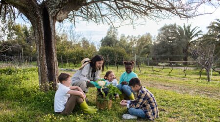 Seasonal Guide to Sustainable Living