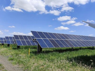 Beginner’s Guide to Sustainable Business Practices